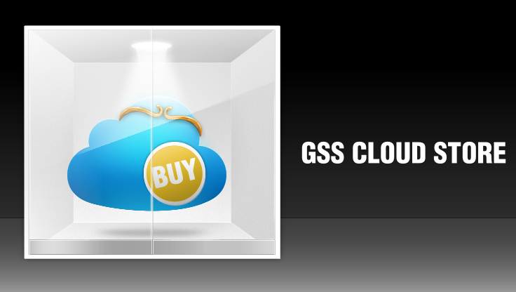 GSS Cloud Store
