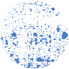 planet Vital Finance